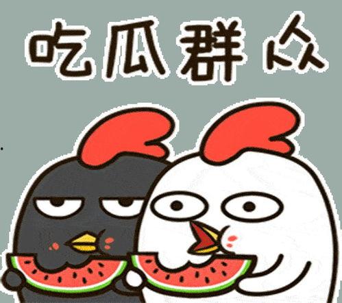 为了吃瓜一直吃,揭秘“吃瓜群众”的疯狂食瓜之旅