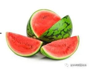 树树吃瓜,揭秘植物界的“美食”奇观