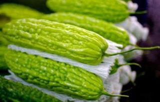 孕妇可以吃黄藤瓜吗,黄藤瓜的营养与安全指南