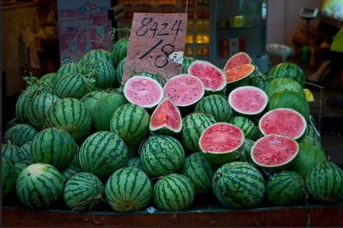 吃瓜星彩,一场视觉与味蕾的双重盛宴