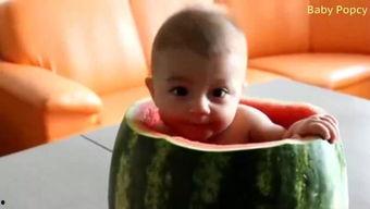 儿童玩具吃瓜,揭秘玩具安全与趣味性